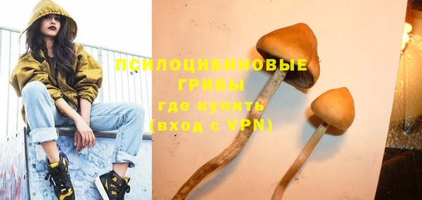apvp Верея