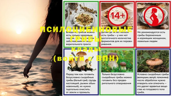 apvp Верея