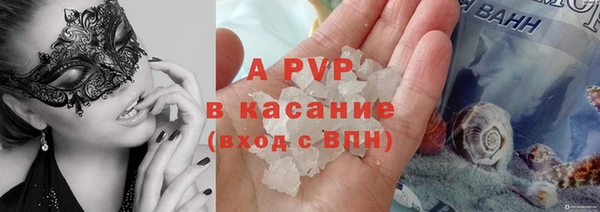 apvp Верея