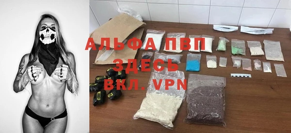 apvp Верея